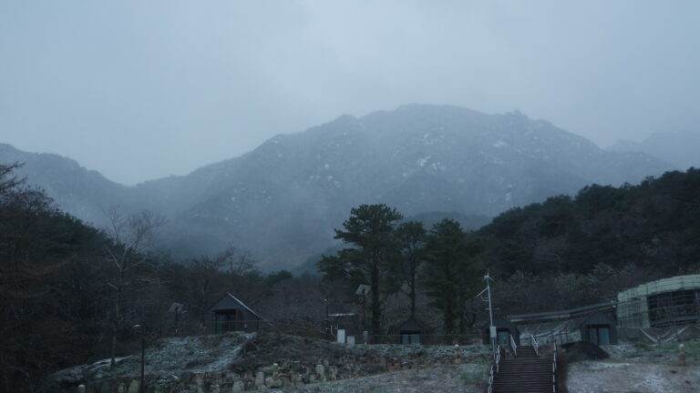 가야산생태탐방원에서 본 눈